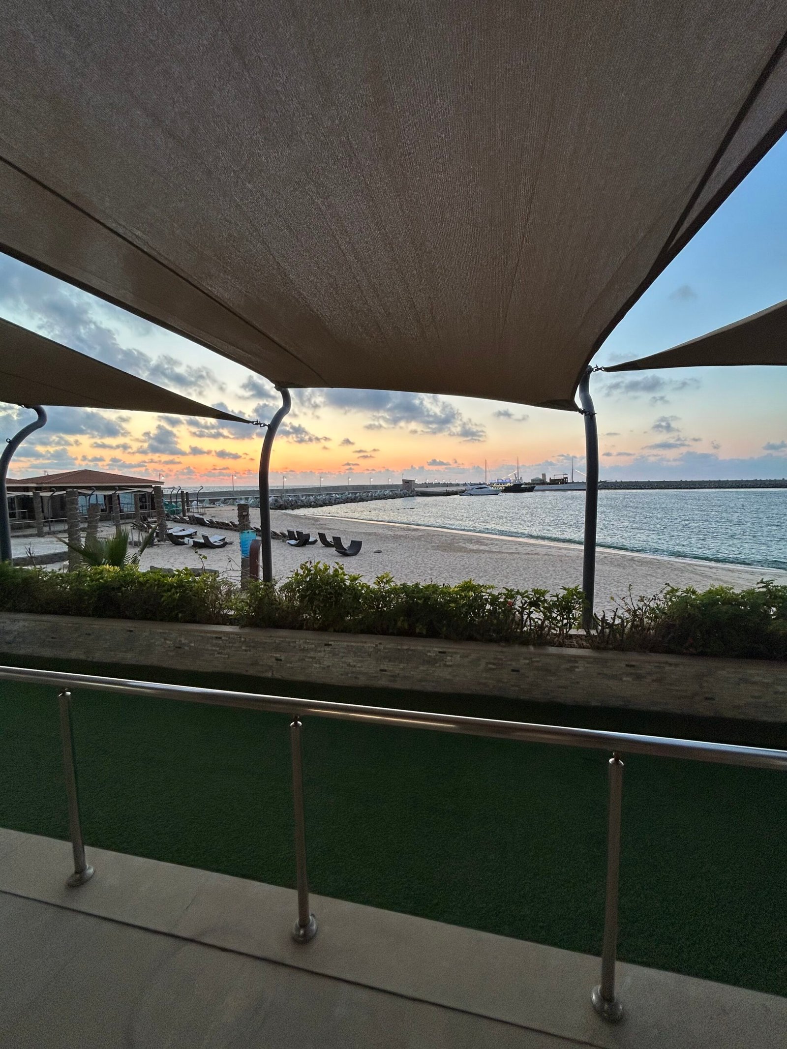 IMG_5230